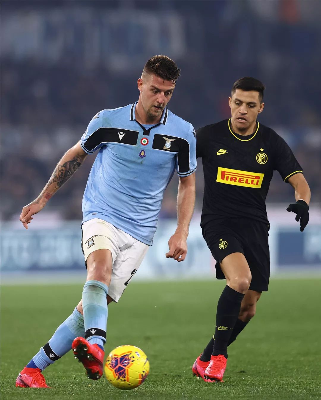 不仅将影响 不仅将影响