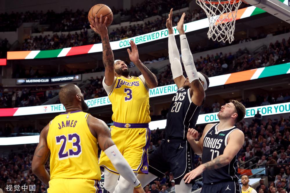 入口处的花 入口处的花